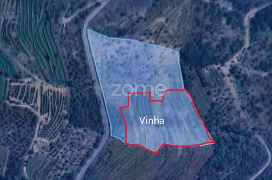 Terreno para Venda em Provesende, Gouvães Douro, São Cristóvão Douro Foto 1