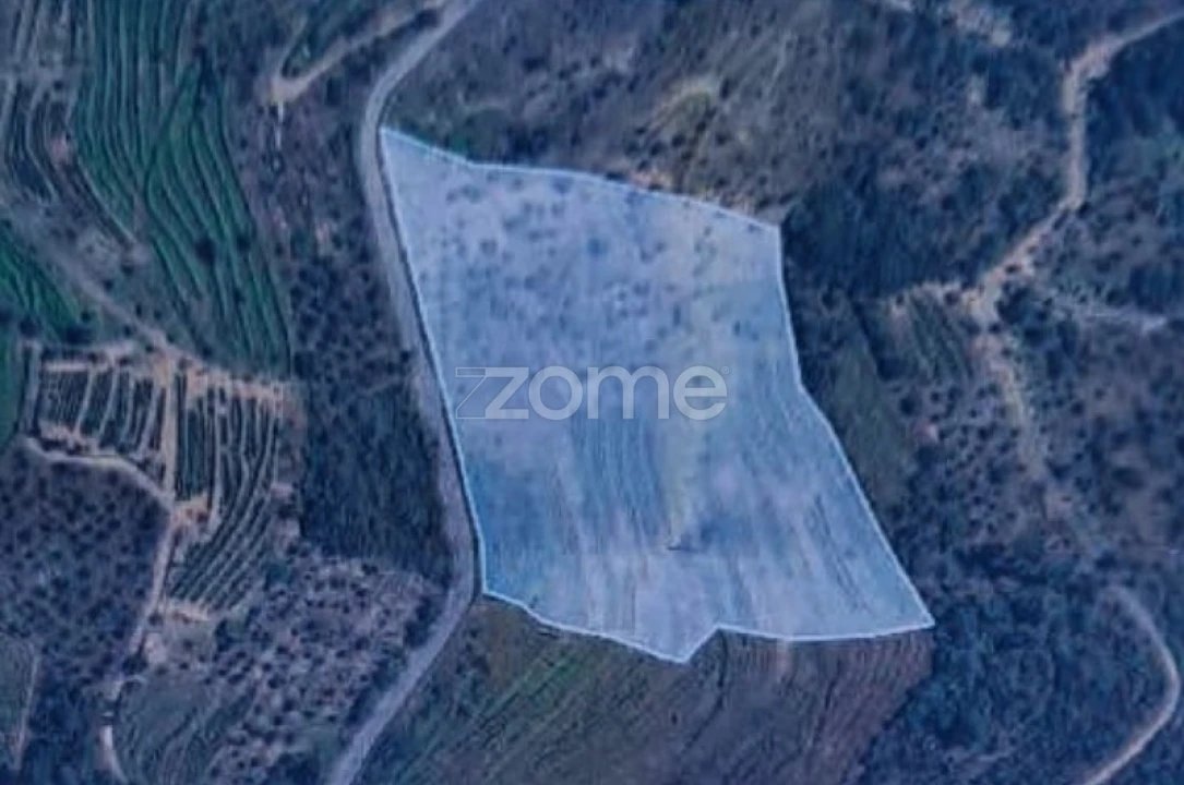 Terreno para Venda em Provesende, Gouvães Douro, São Cristóvão Douro Foto 12