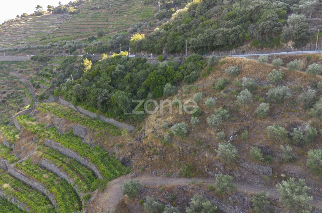 Terreno para Venda em Provesende, Gouvães Douro, São Cristóvão Douro Foto 2
