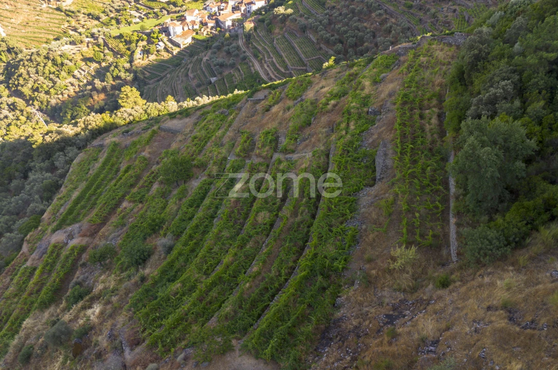 Terreno para Venda em Provesende, Gouvães Douro, São Cristóvão Douro Foto 4