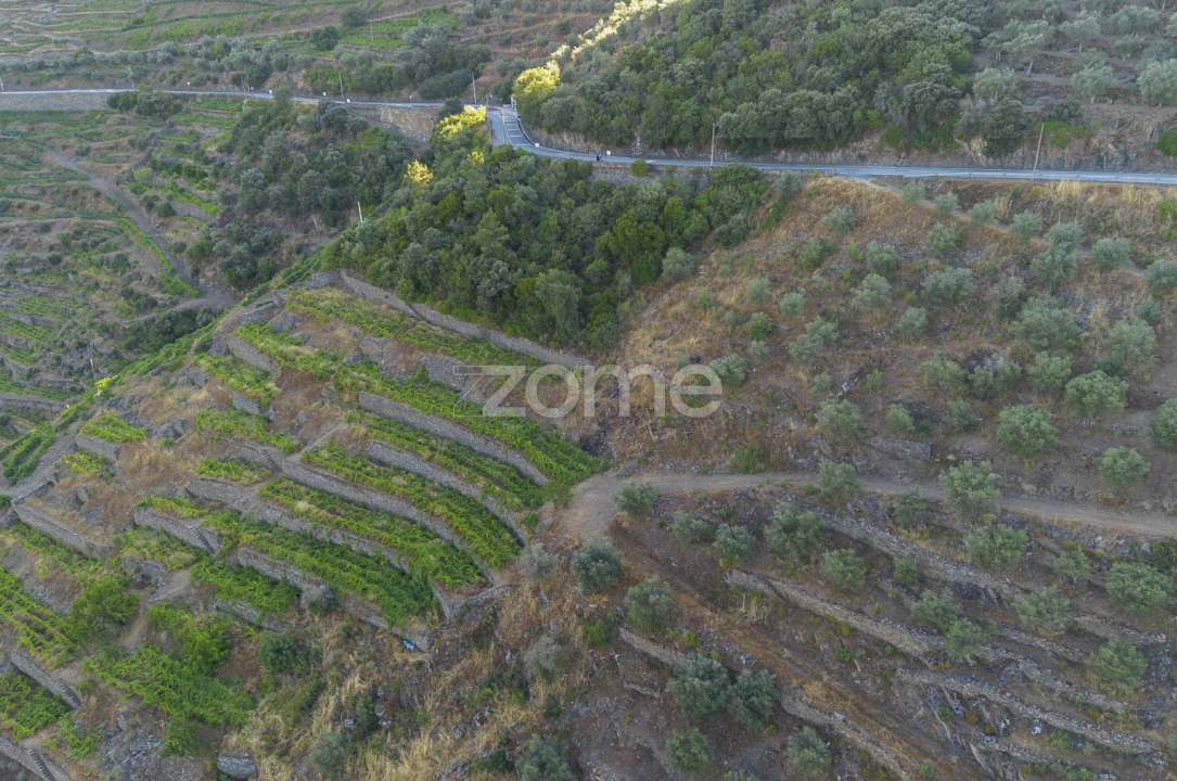Terreno para Venda em Provesende, Gouvães Douro, São Cristóvão Douro Foto 3
