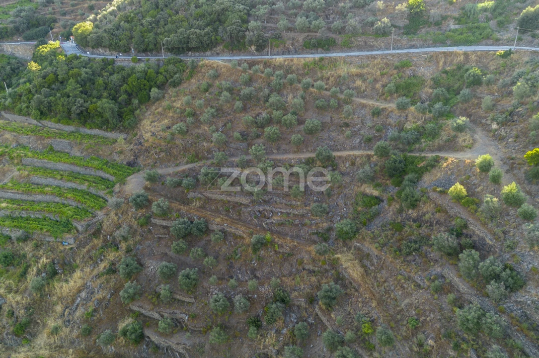 Terreno para Venda em Provesende, Gouvães Douro, São Cristóvão Douro Foto 8