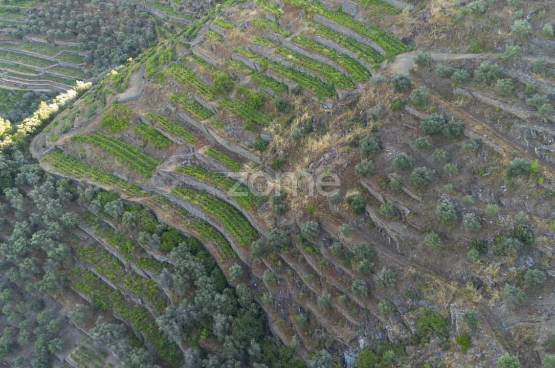 Terreno para Venda em Provesende, Gouvães Douro, São Cristóvão Douro Foto 11