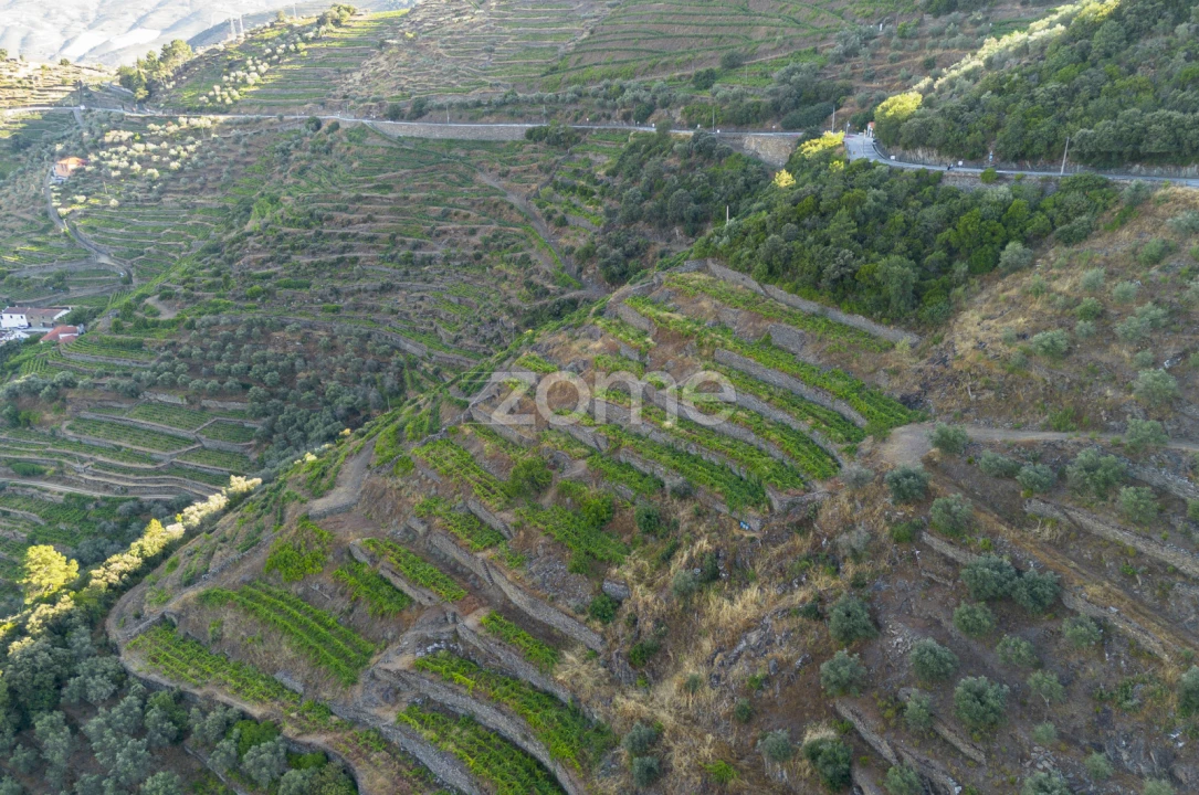 Terreno para Venda em Provesende, Gouvães Douro, São Cristóvão Douro Foto 10