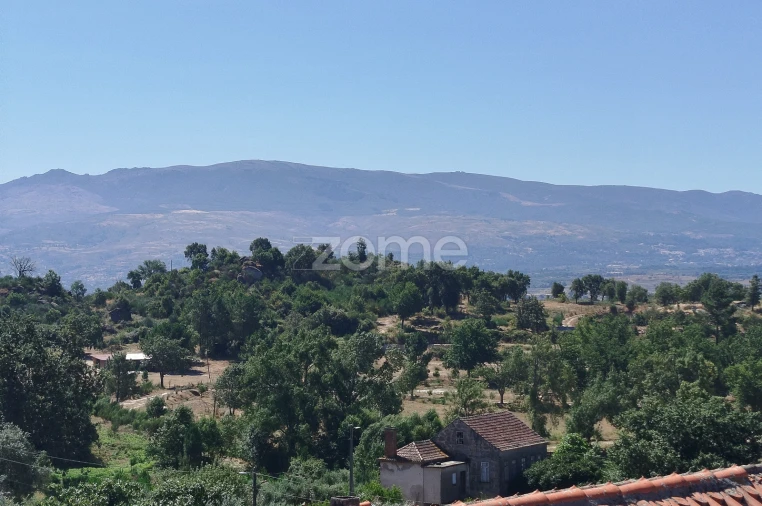 Moradia T5 para Venda em Abrunhosa-A-Velha Foto 20