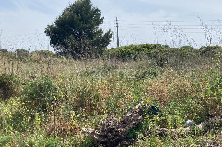 Terreno para Venda em Rio de Mouro Foto 12