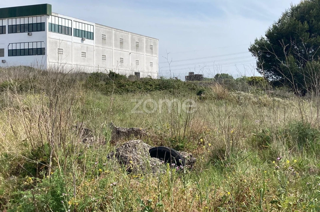 Terreno para Venda em Rio de Mouro Foto 4