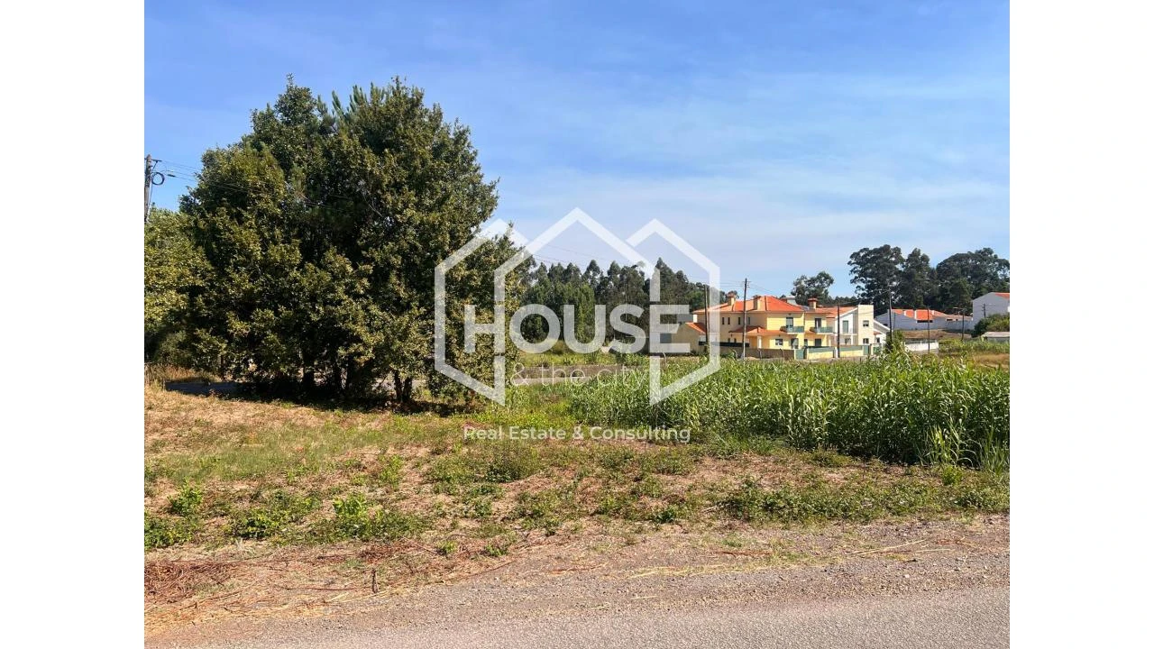 Terreno para Venda em Palhaça Foto 1