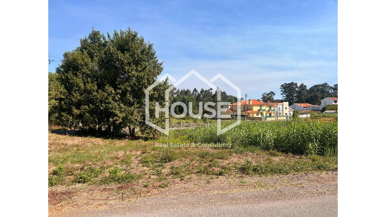 Terreno para Venda em Palhaça Foto 2