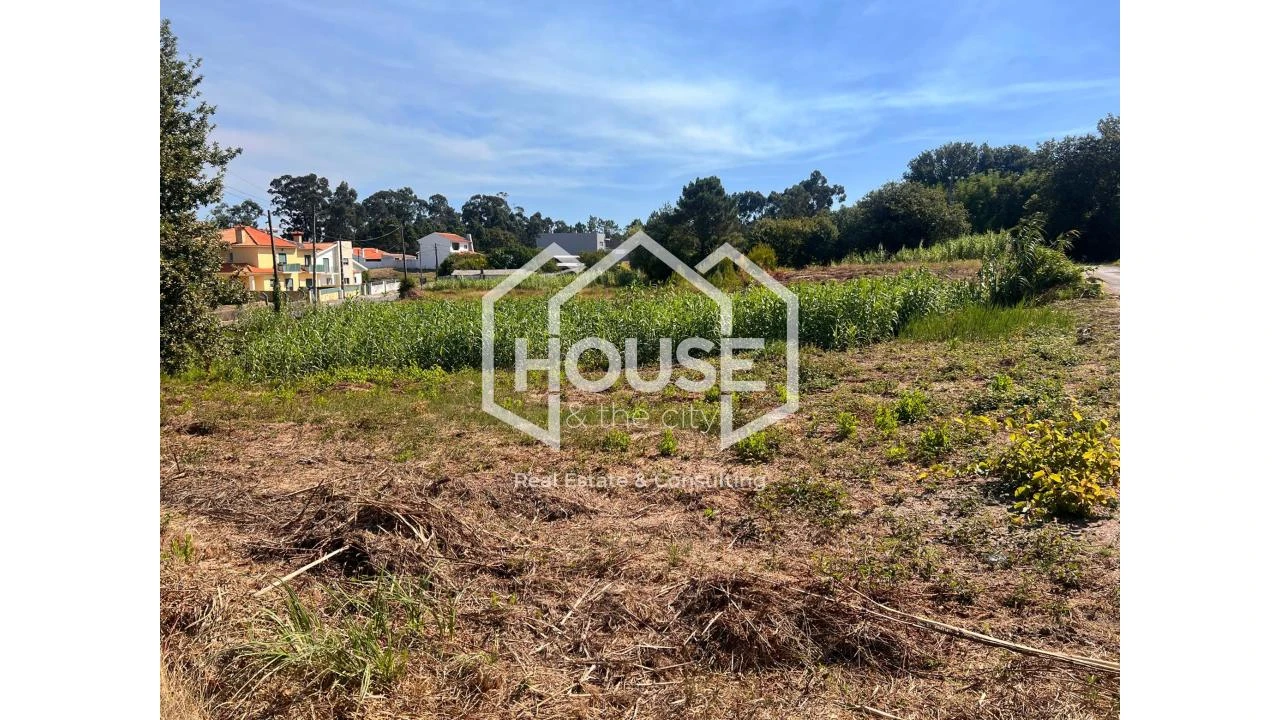 Terreno para Venda em Palhaça Foto 3