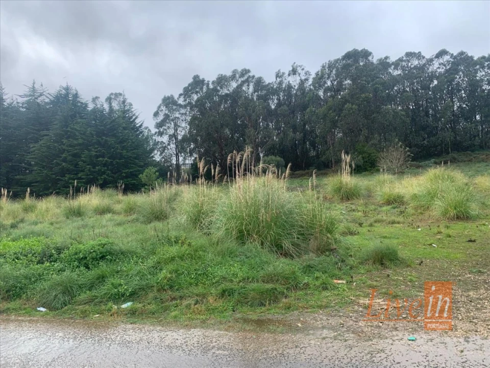 Terreno Agricola ou Rústico para Venda em Santa Maria e São Miguel, São Martinho, São Pedro Penaferrim Foto 3