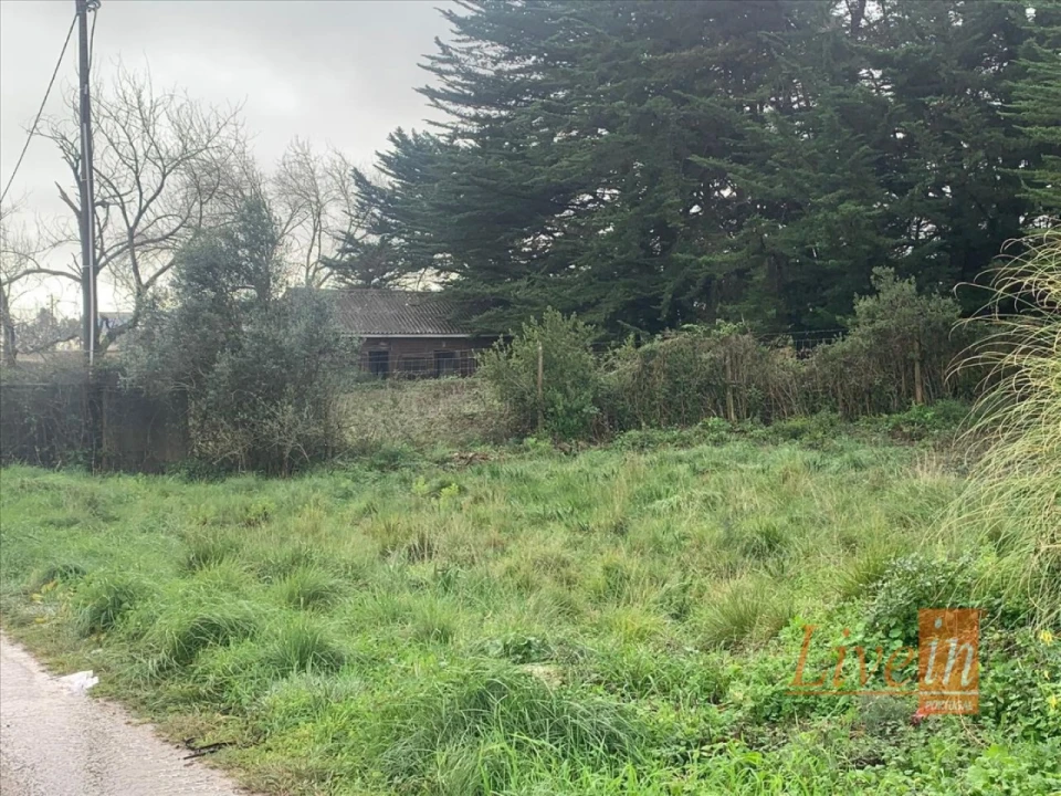 Terreno Agricola ou Rústico para Venda em Santa Maria e São Miguel, São Martinho, São Pedro Penaferrim Foto 11