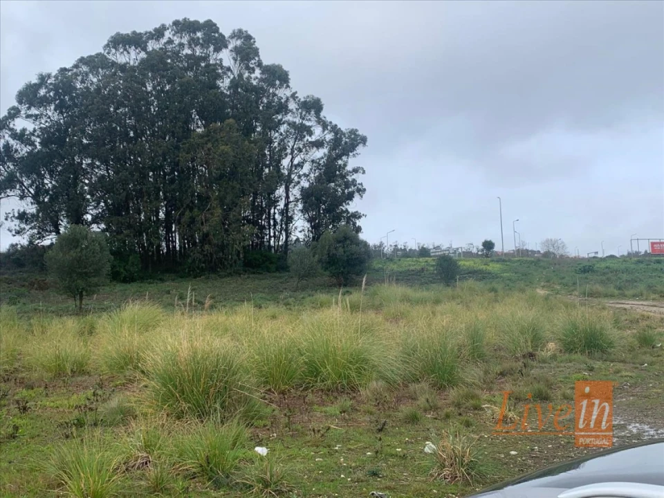 Terreno Agricola ou Rústico para Venda em Santa Maria e São Miguel, São Martinho, São Pedro Penaferrim Foto 12