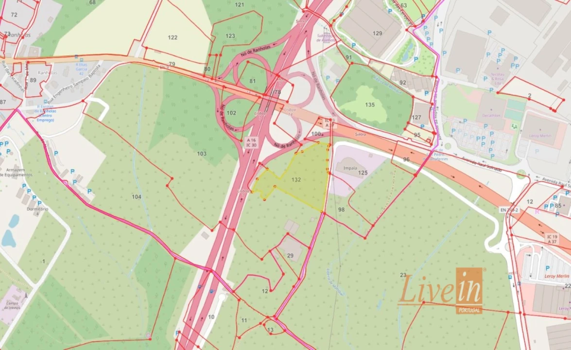 Terreno Agricola ou Rústico para Venda em Santa Maria e São Miguel, São Martinho, São Pedro Penaferrim Foto 14