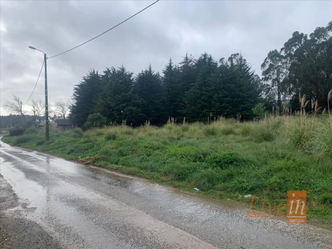 Terreno Agricola ou Rústico para Venda em Santa Maria e São Miguel, São Martinho, São Pedro Penaferrim Foto 2