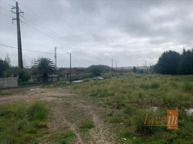 Terreno Agricola ou Rústico para Venda em Santa Maria e São Miguel, São Martinho, São Pedro Penaferrim Foto 4