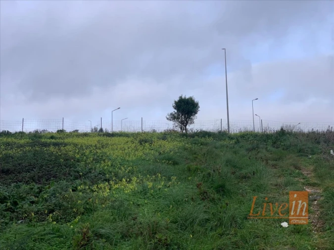 Terreno Agricola ou Rústico para Venda em Santa Maria e São Miguel, São Martinho, São Pedro Penaferrim Foto 5