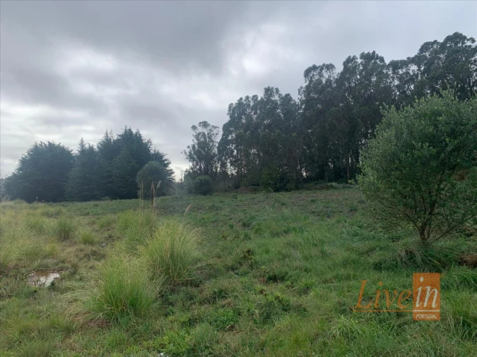 Terreno Agricola ou Rústico para Venda em Santa Maria e São Miguel, São Martinho, São Pedro Penaferrim Foto 6