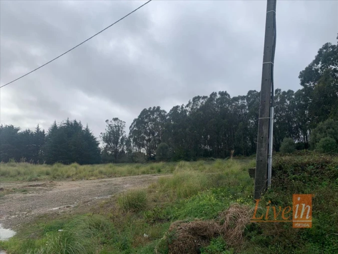 Terreno Agricola ou Rústico para Venda em Santa Maria e São Miguel, São Martinho, São Pedro Penaferrim Foto 8