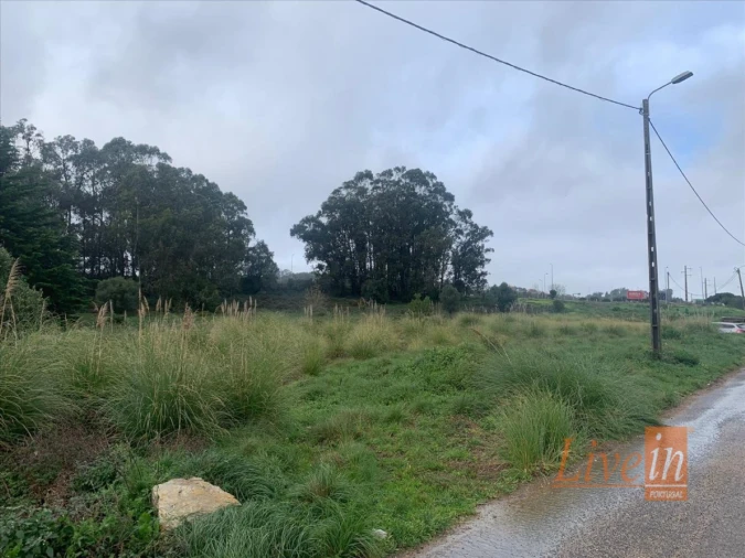 Terreno Agricola ou Rústico para Venda em Santa Maria e São Miguel, São Martinho, São Pedro Penaferrim Foto 10