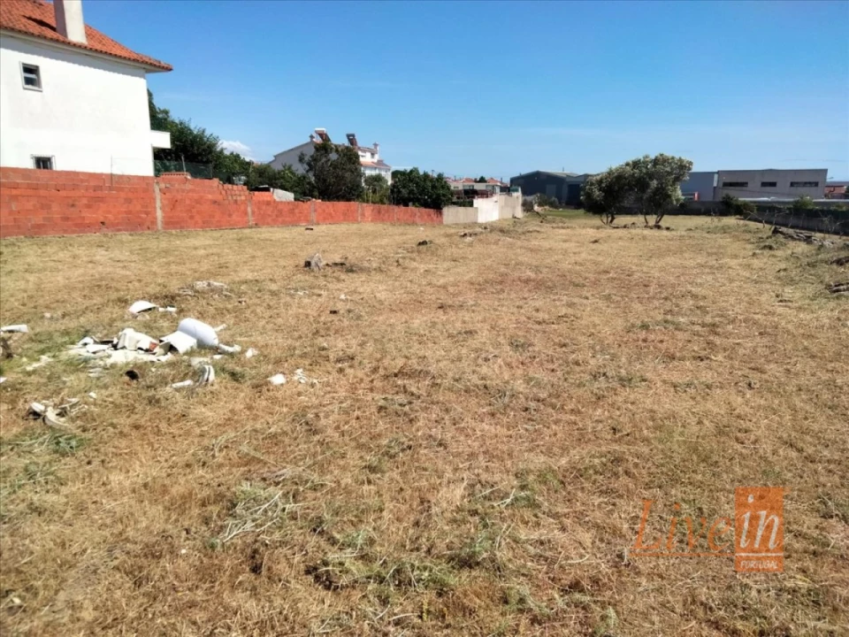 Terreno Agricola ou Rústico para Venda em Rio de Mouro Foto 3
