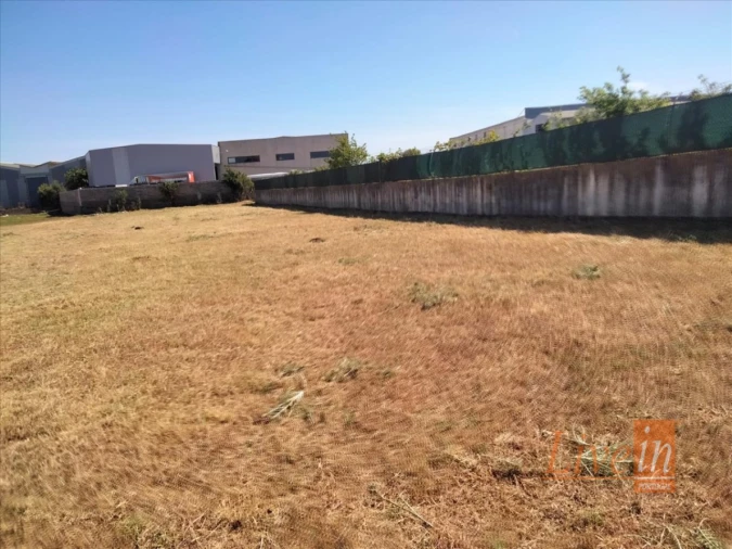 Terreno Agricola ou Rústico para Venda em Rio de Mouro Foto 8