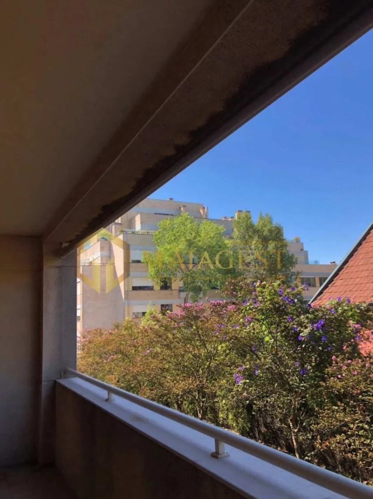 Apartamento T3 para Arrendamento em Aldoar, Foz do Douro e Nevogilde Foto 11