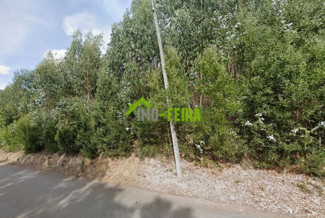 Terreno para Venda em Lourosa Foto 2