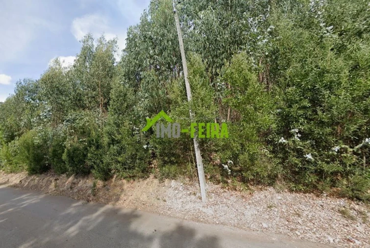 Terreno para Venda em Lourosa Foto 2
