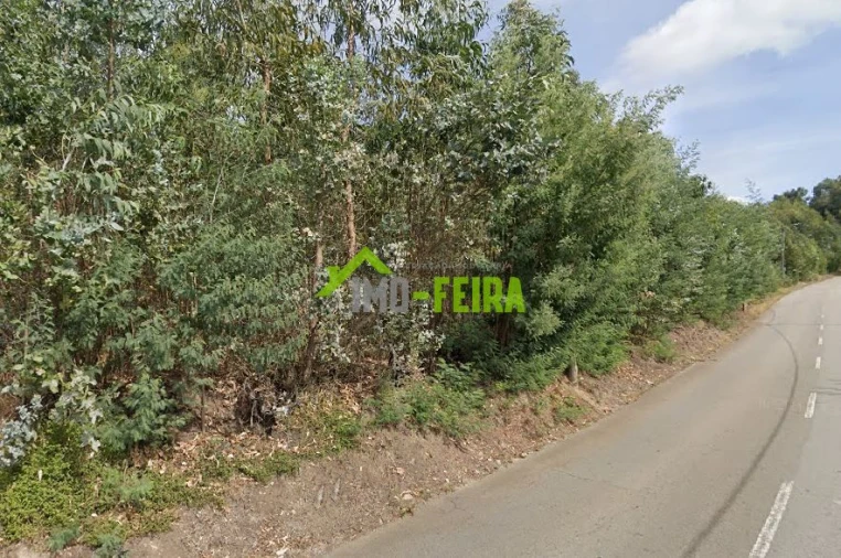 Terreno para Venda em Lourosa Foto 4