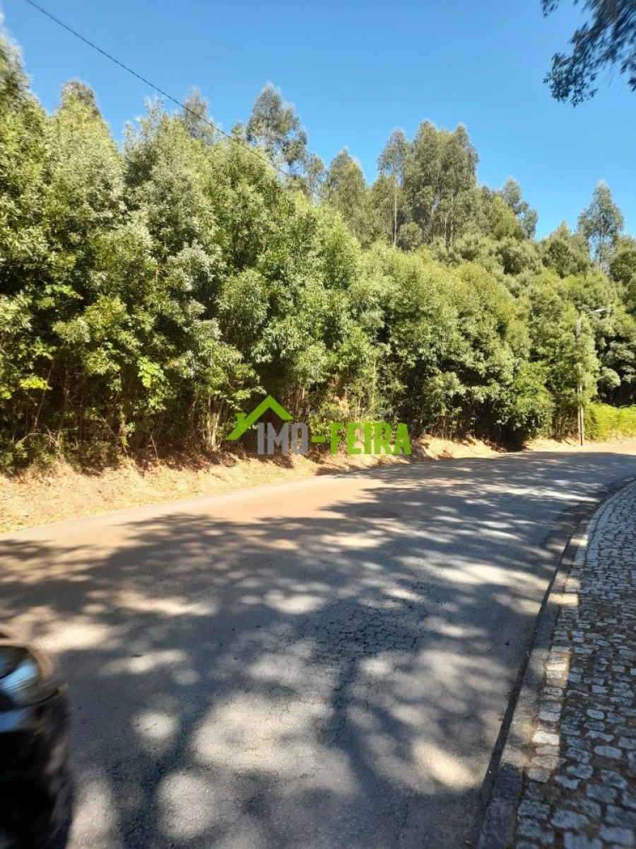 Terreno para Venda em Lourosa Foto 14