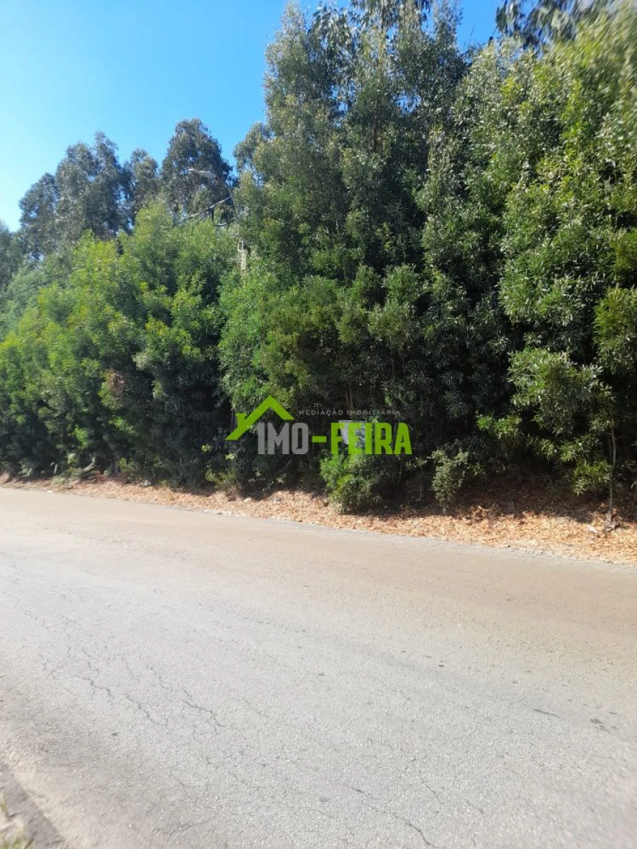 Terreno para Venda em Lourosa Foto 13