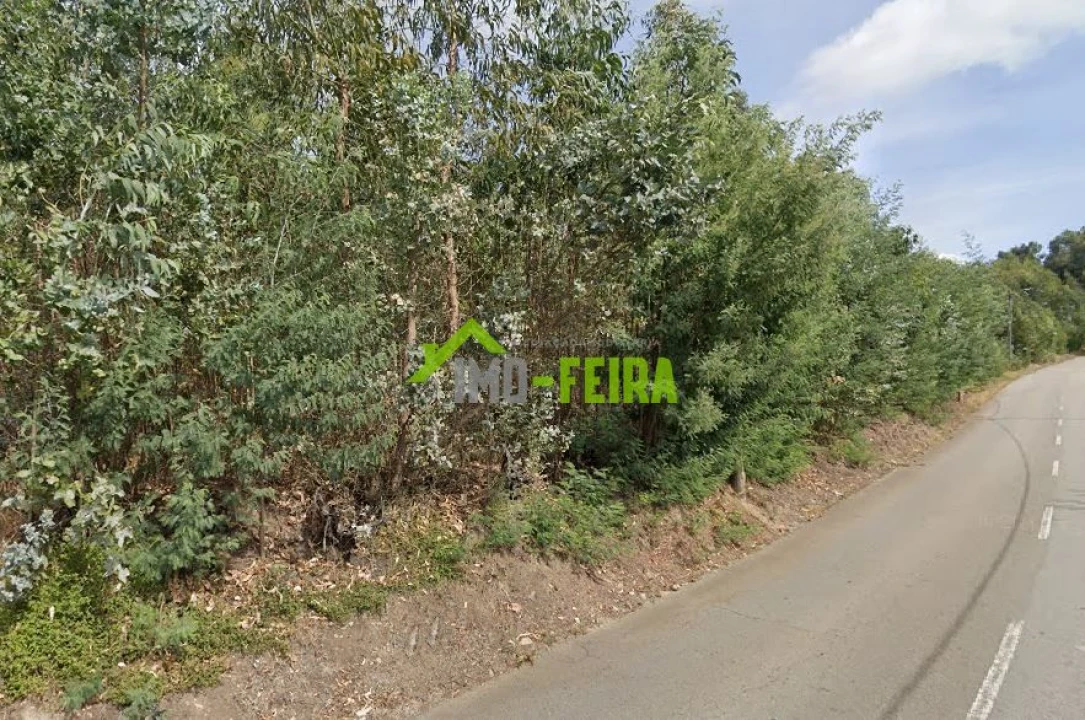 Terreno para Venda em Lourosa Foto 11