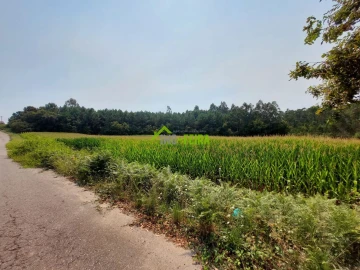 Terreno para Venda em Santa Maria da Feira, Travanca, Sanfins e Espargo