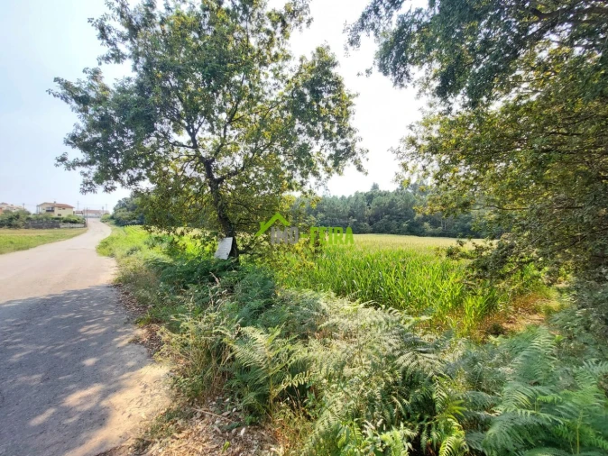 Terreno para Venda em Santa Maria da Feira, Travanca, Sanfins e Espargo Foto 6