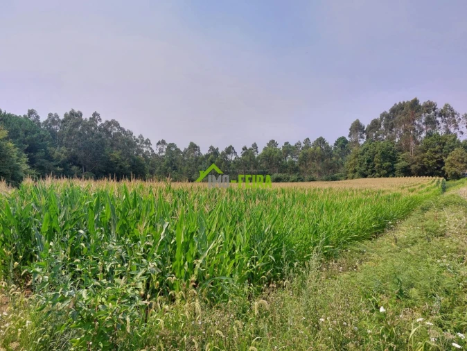 Terreno para Venda em Santa Maria da Feira, Travanca, Sanfins e Espargo Foto 4