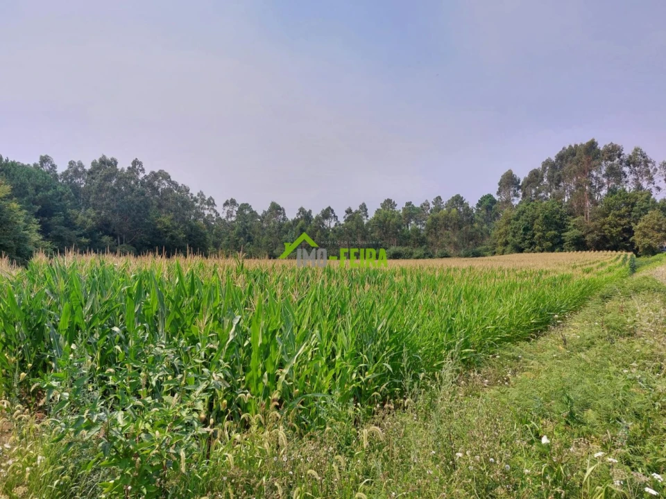 Terreno para Venda em Santa Maria da Feira, Travanca, Sanfins e Espargo Foto 4