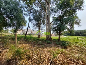 Terreno para Venda em Santa Maria da Feira, Travanca, Sanfins e Espargo