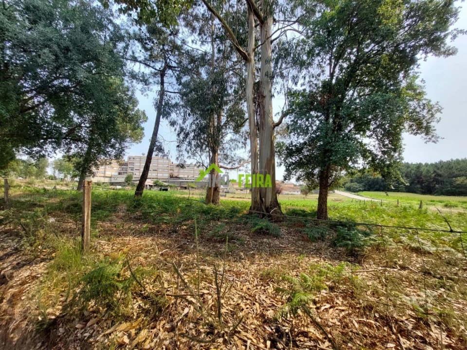 Terreno para Venda em Santa Maria da Feira, Travanca, Sanfins e Espargo Foto 8