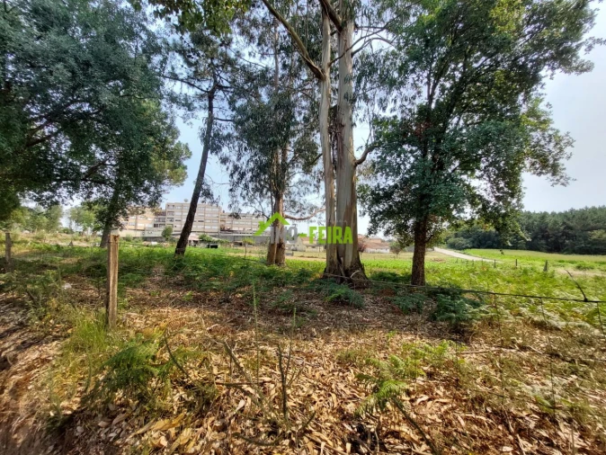 Terreno para Venda em Santa Maria da Feira, Travanca, Sanfins e Espargo Foto 8