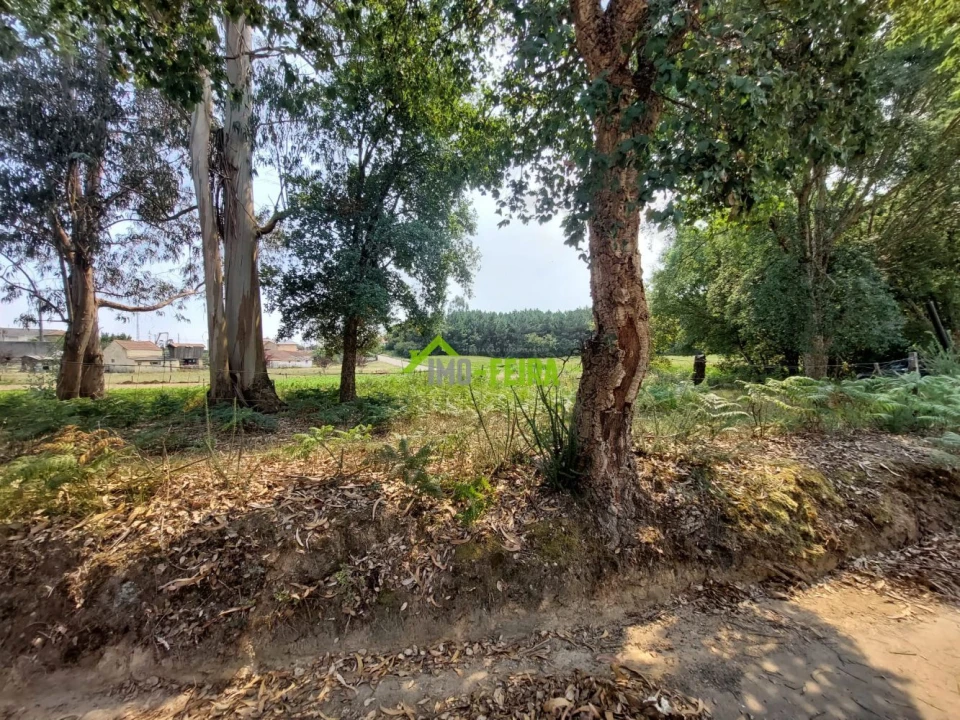 Terreno para Venda em Santa Maria da Feira, Travanca, Sanfins e Espargo Foto 5