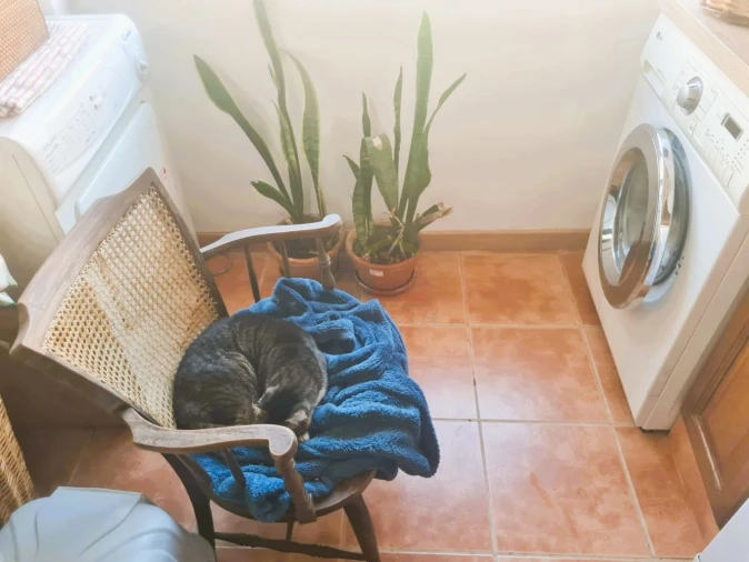 Apartamento T2 para Venda em Algueirão-Mem Martins Foto 7