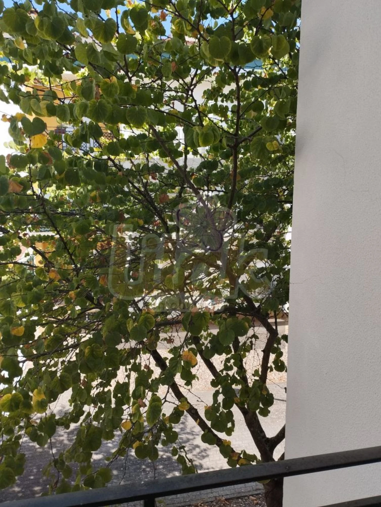 Loja para Venda em Almeirim Foto 10