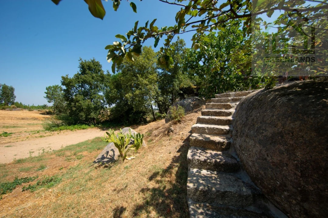 Quinta T2 para Venda em Lagos da Beira e Lajeosa Foto 59