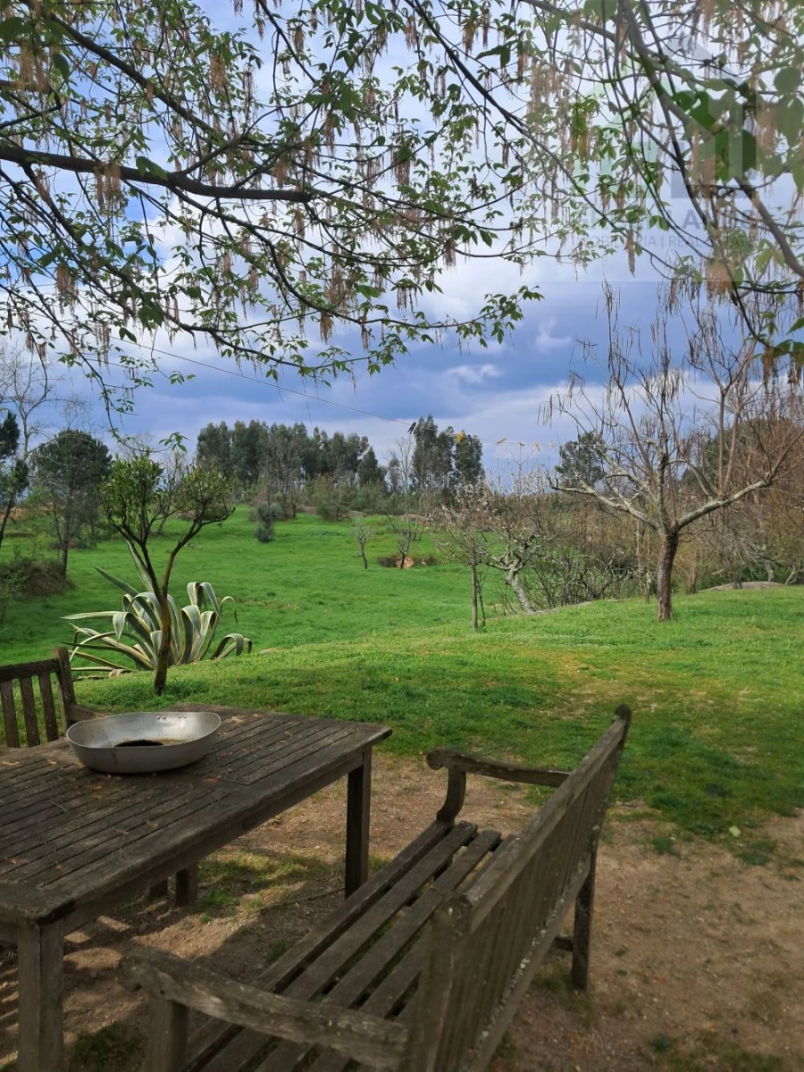 Quinta T2 para Venda em Lagos da Beira e Lajeosa Foto 55