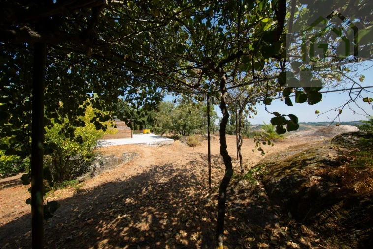 Quinta T2 para Venda em Lagos da Beira e Lajeosa Foto 51