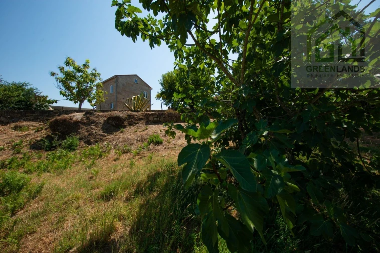Quinta T2 para Venda em Lagos da Beira e Lajeosa Foto 61