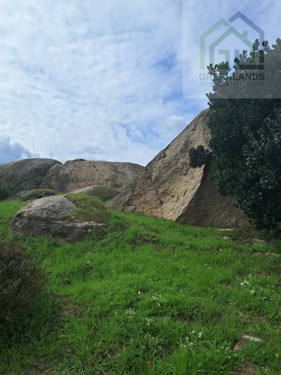 Quinta T2 para Venda em Lagos da Beira e Lajeosa Foto 4