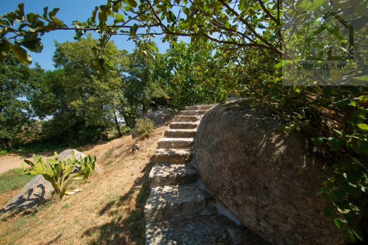 Quinta T2 para Venda em Lagos da Beira e Lajeosa Foto 58