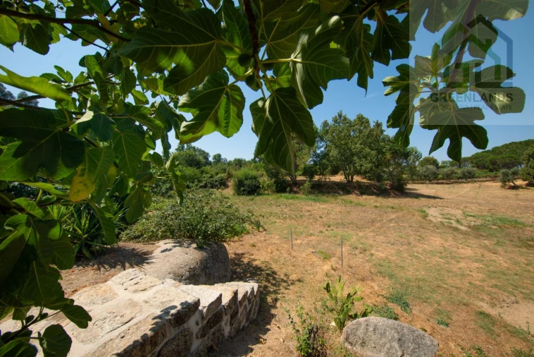 Quinta T2 para Venda em Lagos da Beira e Lajeosa Foto 56